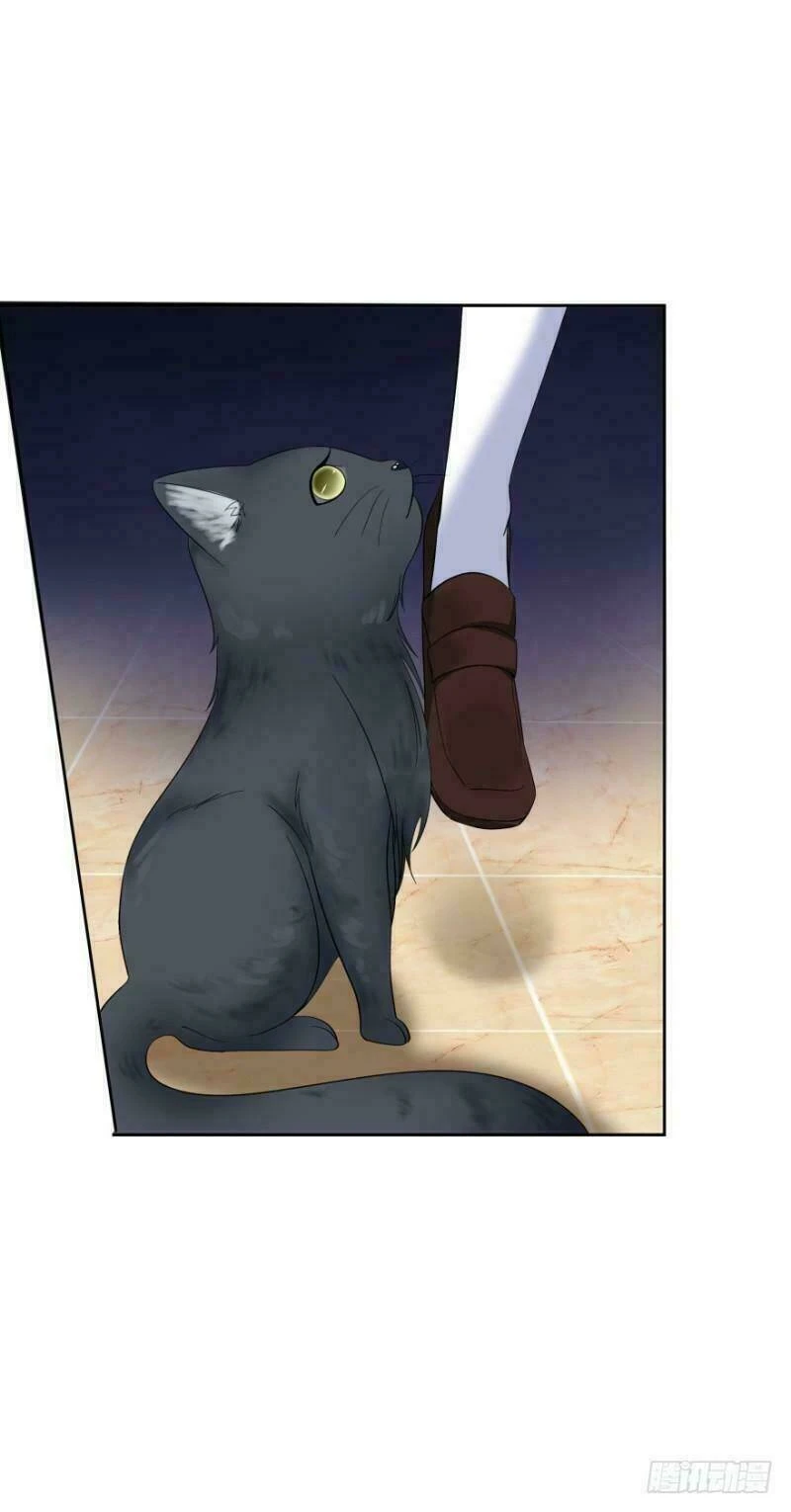 Mộ Thiếu, Lão Bà Ngươi Trọng Sinh Lại Rồi! Chapter 14 - Trang 4