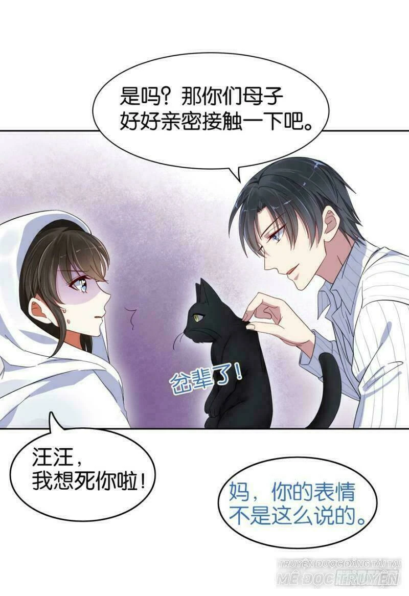 Mộ Thiếu, Lão Bà Ngươi Trọng Sinh Lại Rồi! Chapter 16 - Trang 3