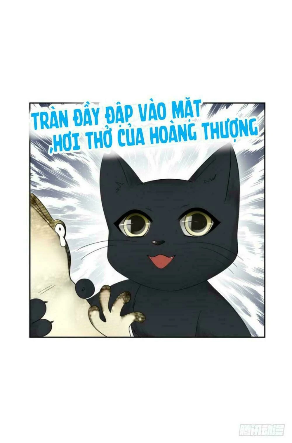 Mộ Thiếu, Lão Bà Ngươi Trọng Sinh Lại Rồi! Chapter 17 - Trang 11
