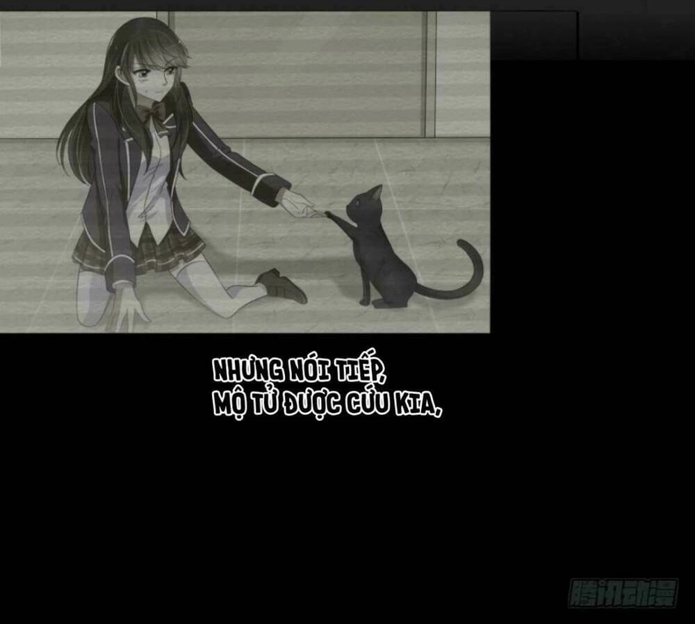 Mộ Thiếu, Lão Bà Ngươi Trọng Sinh Lại Rồi! Chapter 18 - Trang 4