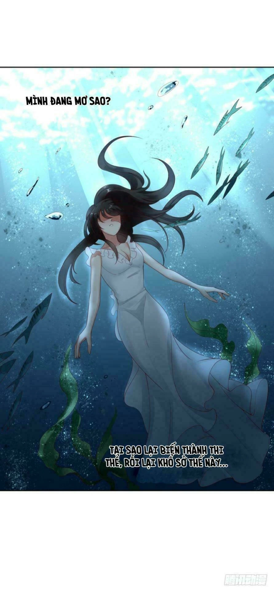 Mộ Thiếu, Lão Bà Ngươi Trọng Sinh Lại Rồi! Chapter 24 - Trang 5