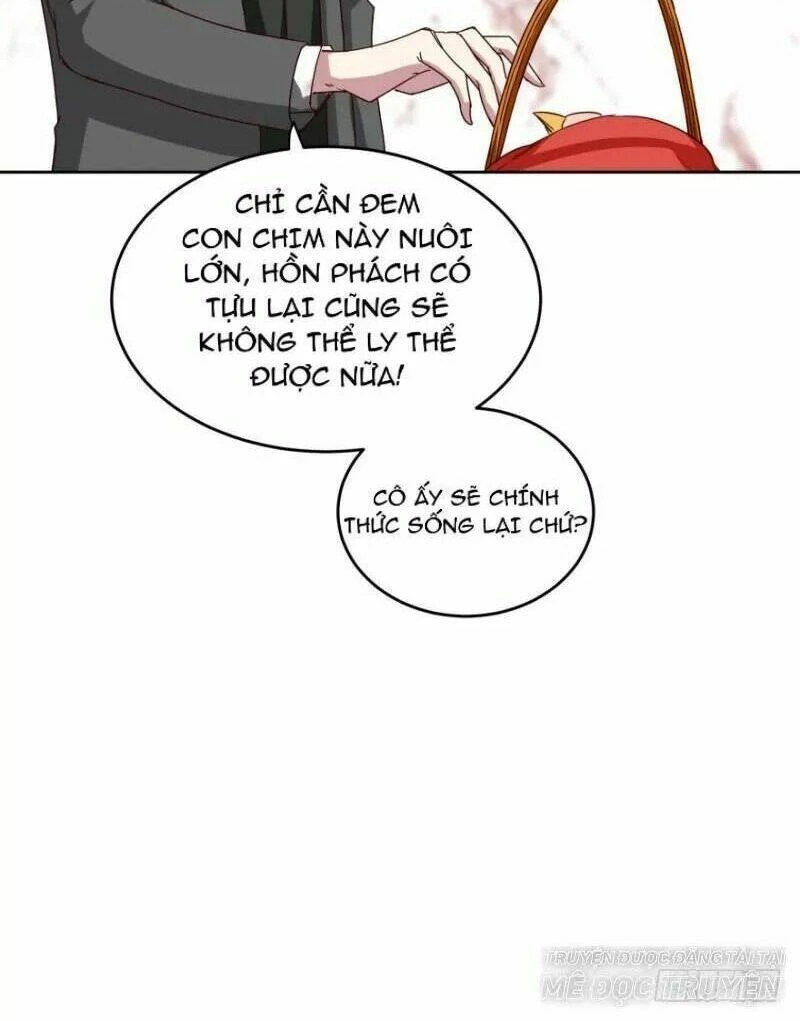 Mộ Thiếu, Lão Bà Ngươi Trọng Sinh Lại Rồi! Chapter 50 - Trang 15