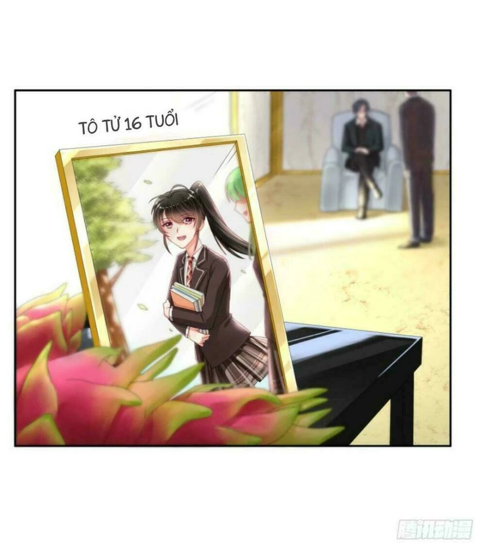 Mộ Thiếu, Lão Bà Ngươi Trọng Sinh Lại Rồi! Chapter 7 - Trang 6