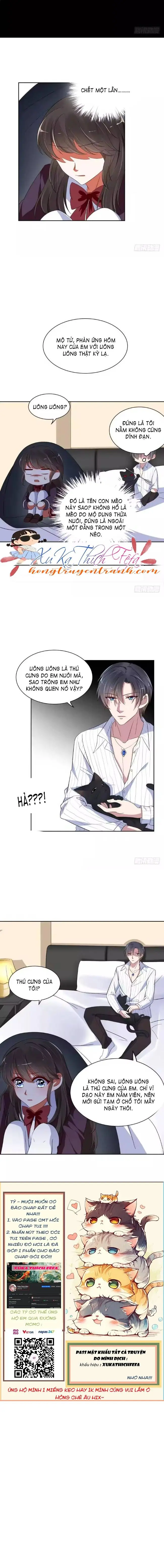 Mộ Tổng Hôm Nay Cưa Được Vợ Chưa? Chapter 9 - Trang 11
