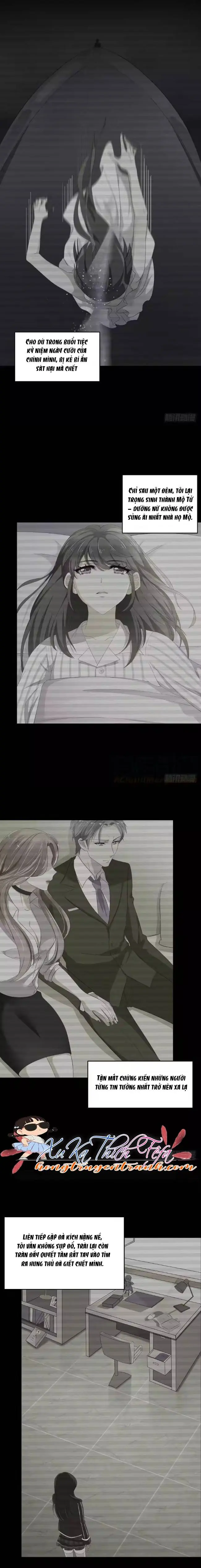 Mộ Tổng Hôm Nay Cưa Được Vợ Chưa? Chapter 9 - Trang 3