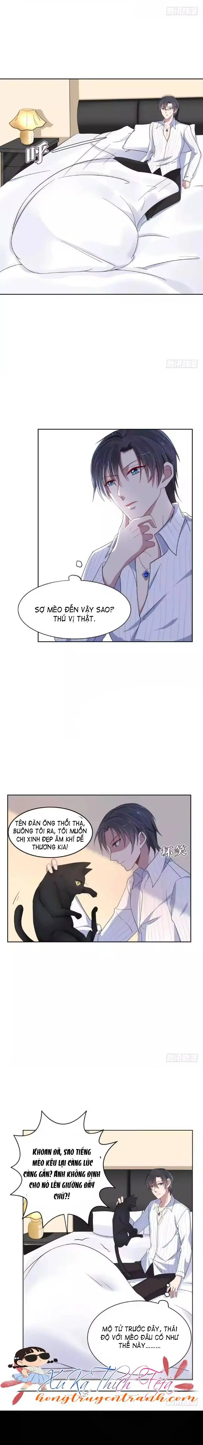 Mộ Tổng Hôm Nay Cưa Được Vợ Chưa? Chapter 9 - Trang 9