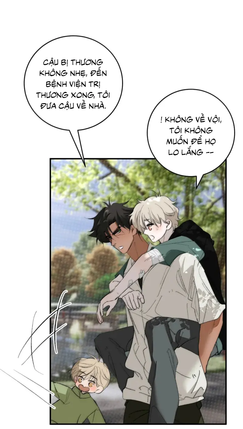 Mỗi Ngày Đều Muốn Làm Bệnh Kiều Vương Tử Xấu hổ Muốn Độn Thổ Chapter 38 - Trang 11