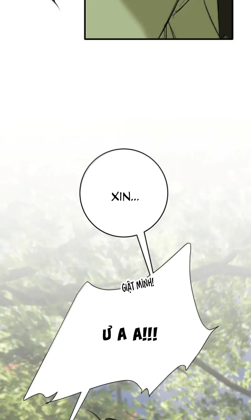 Mỗi Ngày Đều Muốn Làm Bệnh Kiều Vương Tử Xấu hổ Muốn Độn Thổ Chapter 38 - Trang 13