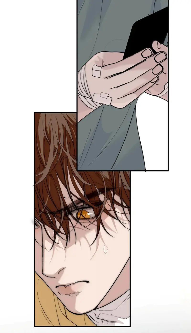 Mỗi Ngày Đều Muốn Làm Bệnh Kiều Vương Tử Xấu hổ Muốn Độn Thổ Chapter 39 - Trang 13