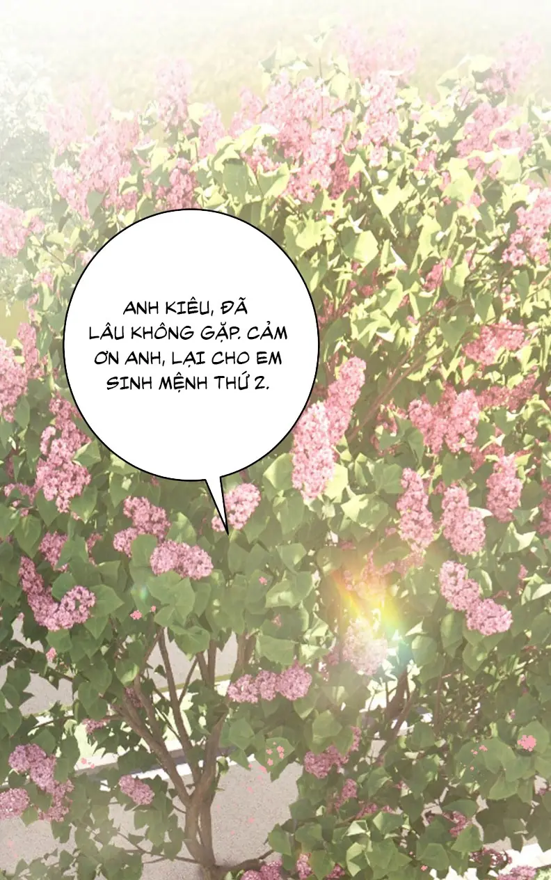 Mỗi Ngày Đều Muốn Làm Bệnh Kiều Vương Tử Xấu hổ Muốn Độn Thổ Chapter 4 - Trang 47