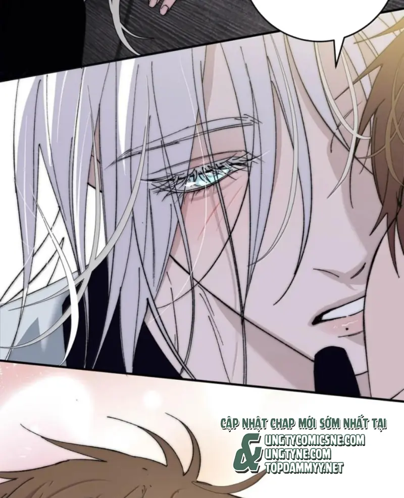 Mỗi Ngày Đều Muốn Làm Bệnh Kiều Vương Tử Xấu hổ Muốn Độn Thổ Chapter 41 - Trang 15