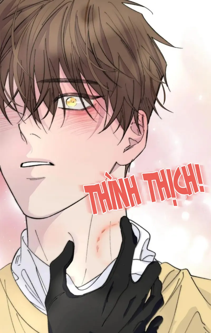 Mỗi Ngày Đều Muốn Làm Bệnh Kiều Vương Tử Xấu hổ Muốn Độn Thổ Chapter 41 - Trang 16