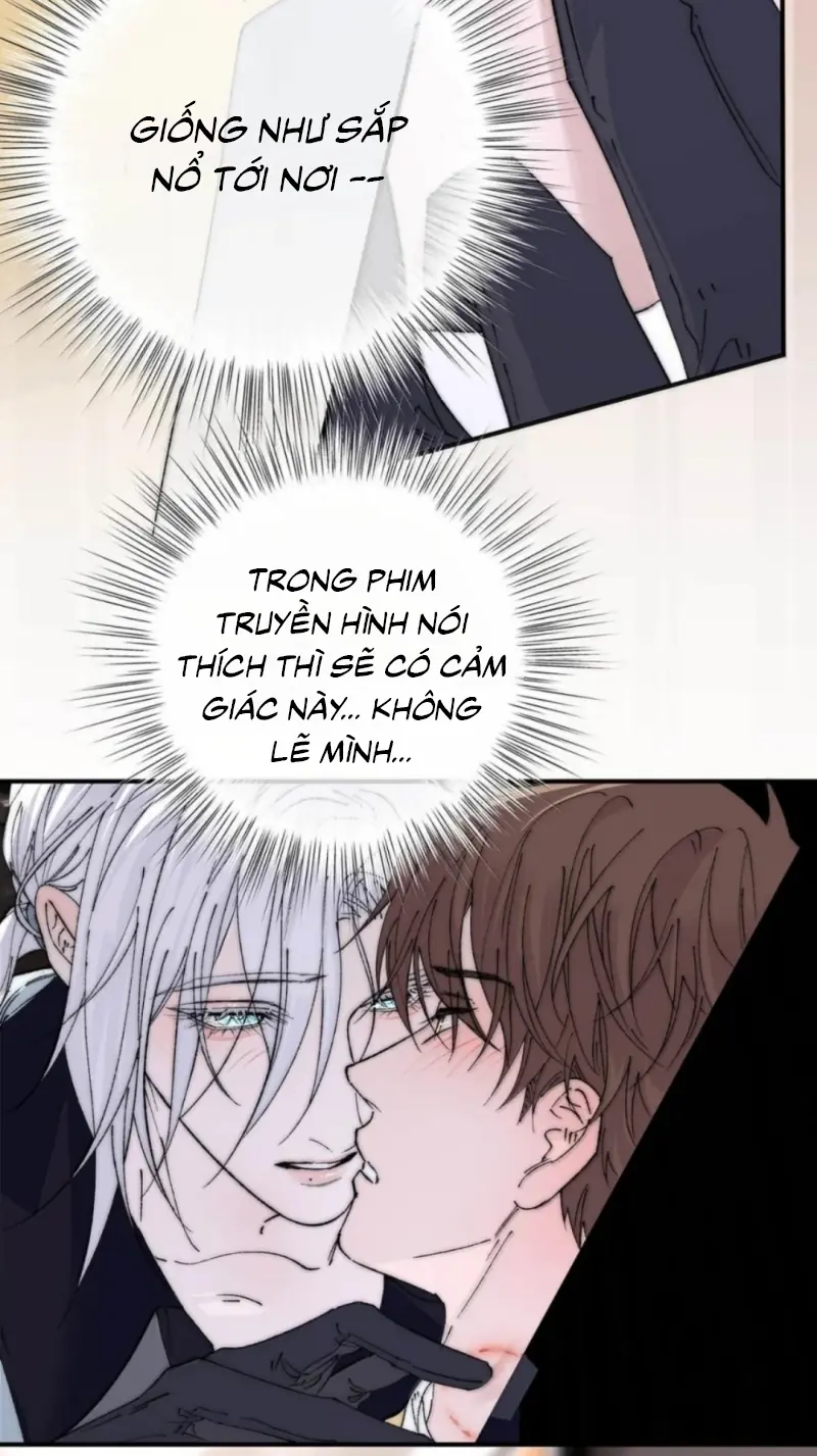 Mỗi Ngày Đều Muốn Làm Bệnh Kiều Vương Tử Xấu hổ Muốn Độn Thổ Chapter 41 - Trang 19