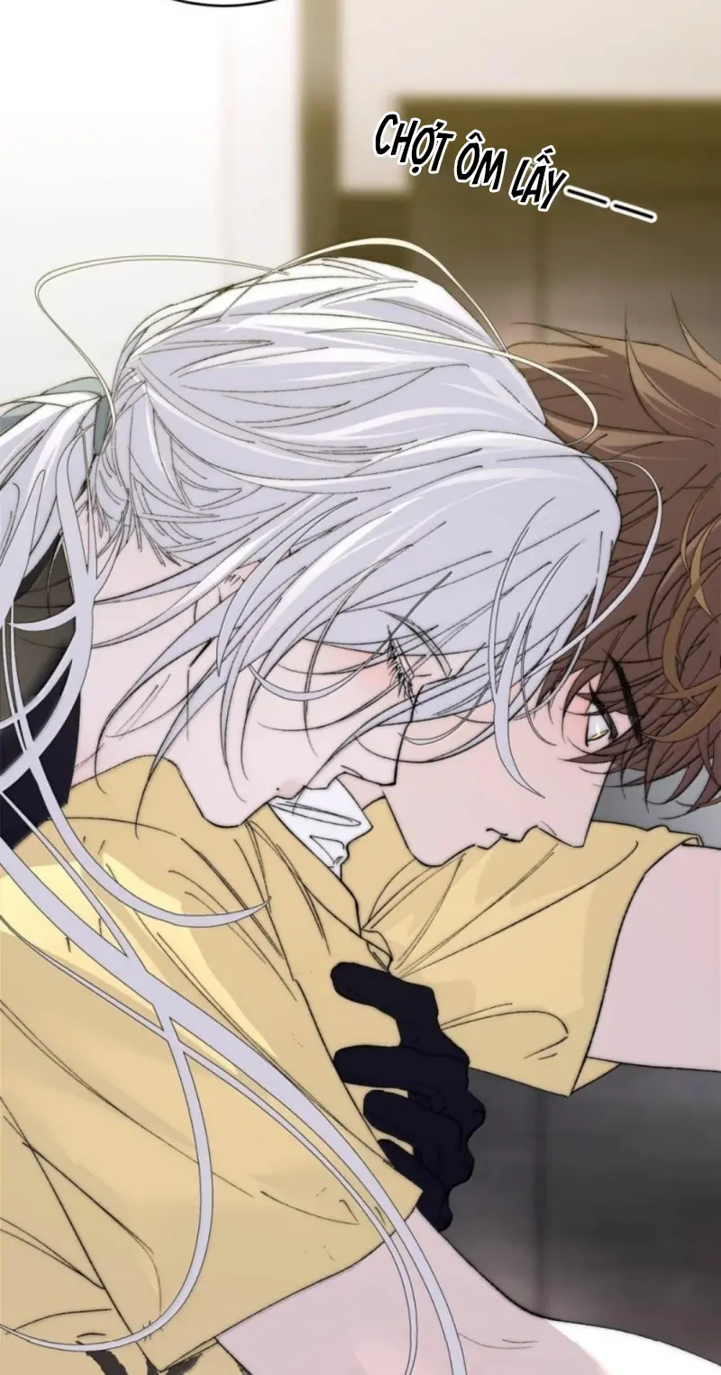 Mỗi Ngày Đều Muốn Làm Bệnh Kiều Vương Tử Xấu hổ Muốn Độn Thổ Chapter 41 - Trang 9