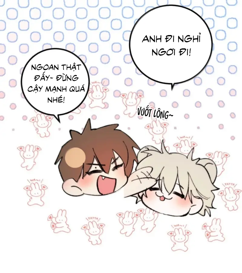 Mỗi Ngày Đều Muốn Làm Bệnh Kiều Vương Tử Xấu hổ Muốn Độn Thổ Chapter 43 - Trang 13