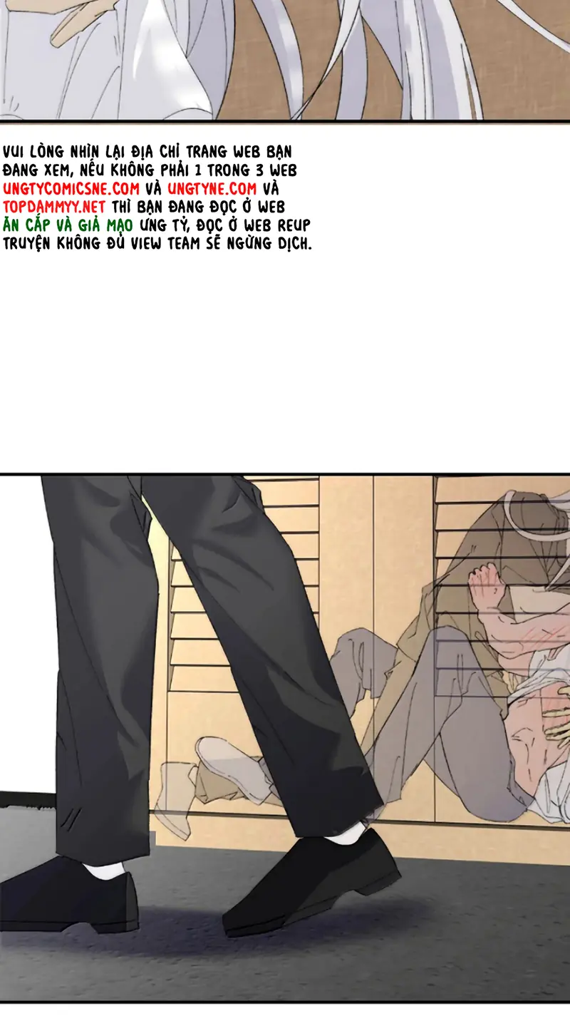 Mỗi Ngày Đều Muốn Làm Bệnh Kiều Vương Tử Xấu hổ Muốn Độn Thổ Chapter 45 - Trang 13