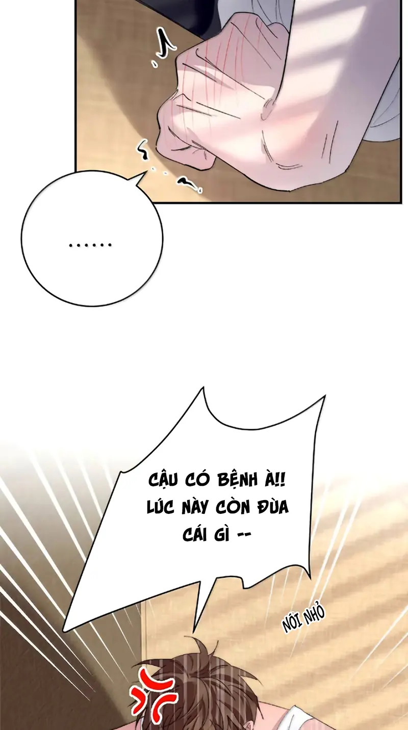 Mỗi Ngày Đều Muốn Làm Bệnh Kiều Vương Tử Xấu hổ Muốn Độn Thổ Chapter 45 - Trang 16