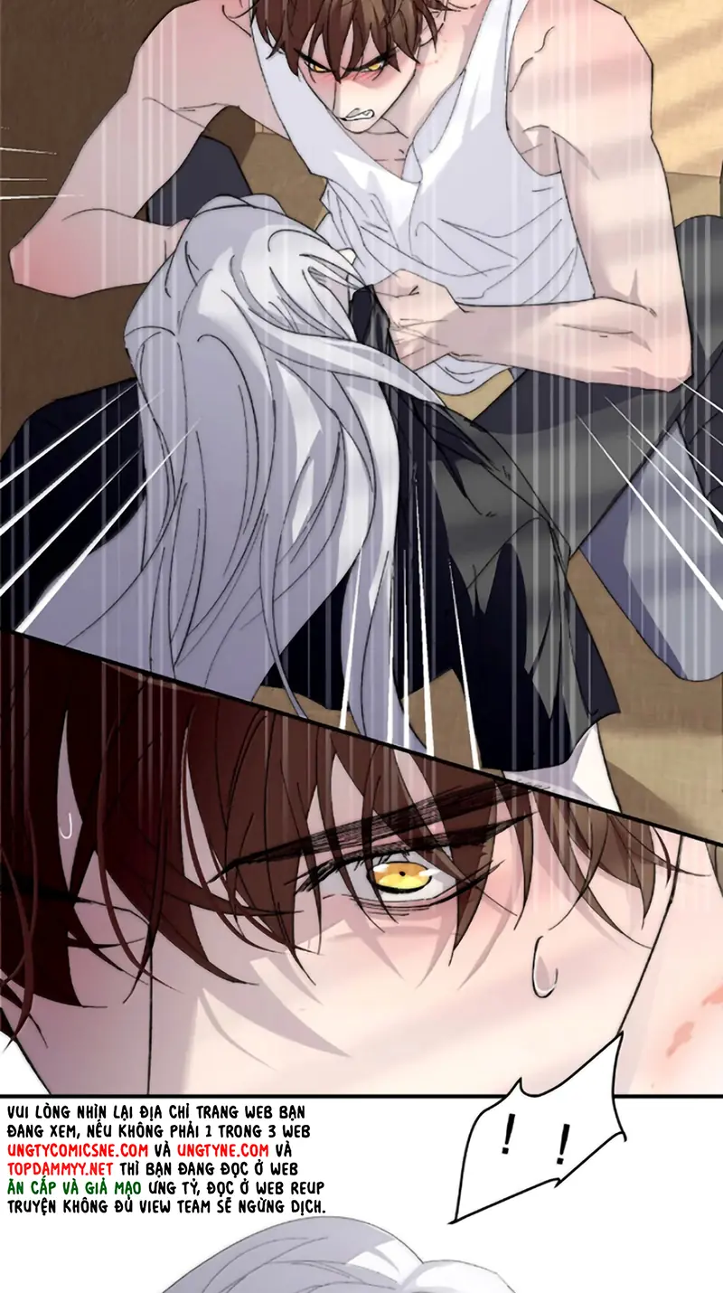Mỗi Ngày Đều Muốn Làm Bệnh Kiều Vương Tử Xấu hổ Muốn Độn Thổ Chapter 45 - Trang 17