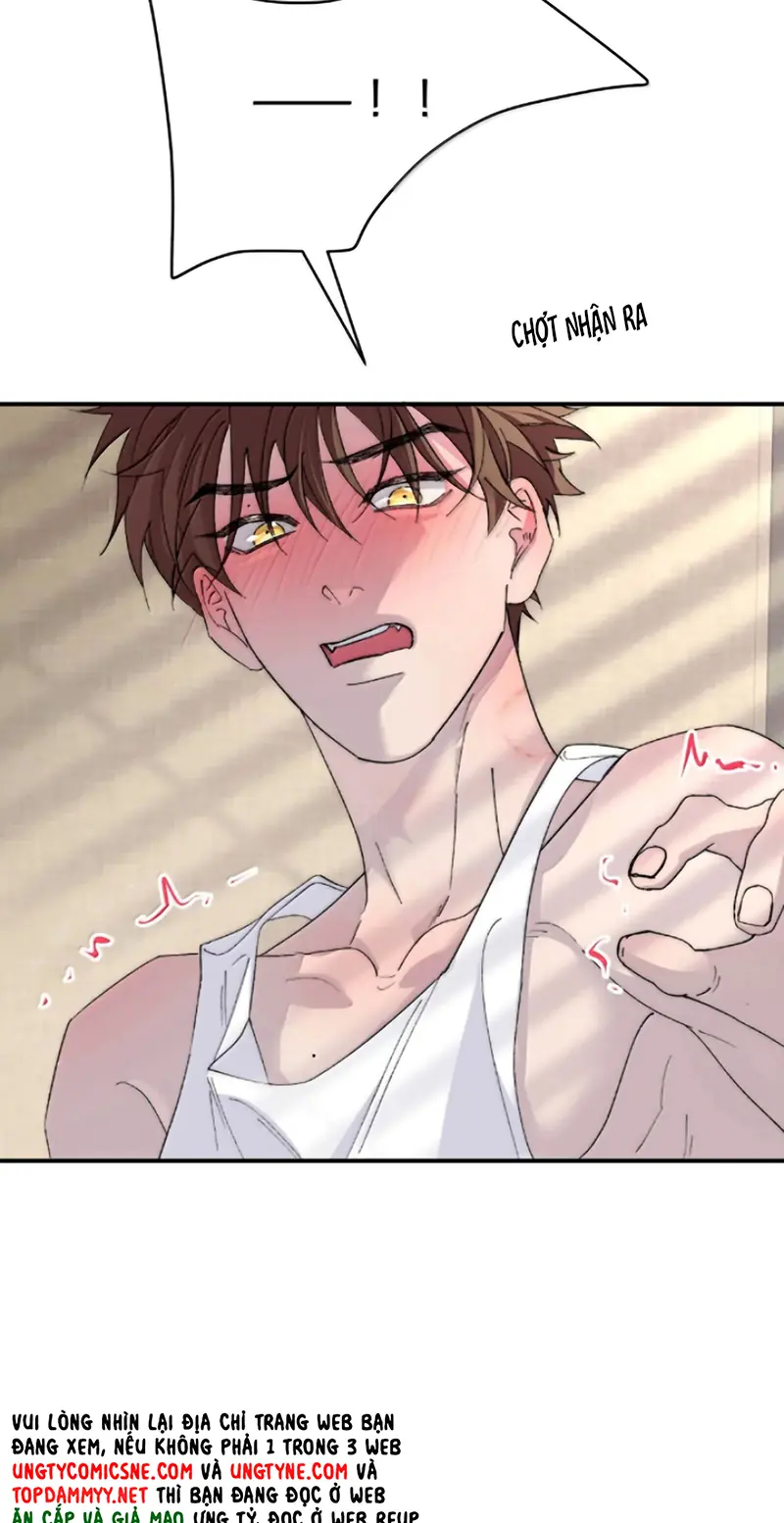 Mỗi Ngày Đều Muốn Làm Bệnh Kiều Vương Tử Xấu hổ Muốn Độn Thổ Chapter 45 - Trang 20