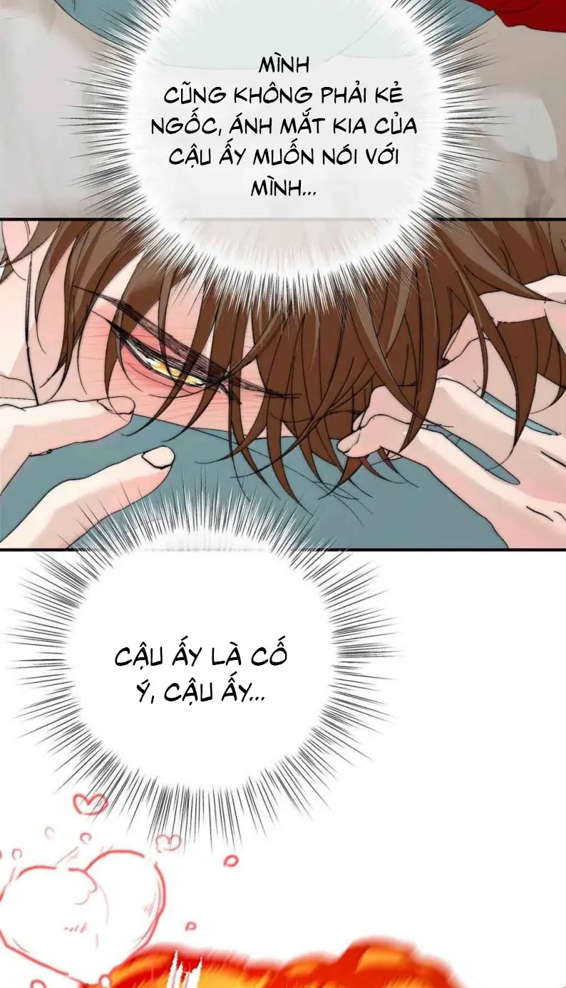 Mỗi Ngày Đều Muốn Làm Bệnh Kiều Vương Tử Xấu hổ Muốn Độn Thổ Chapter 47 - Trang 6