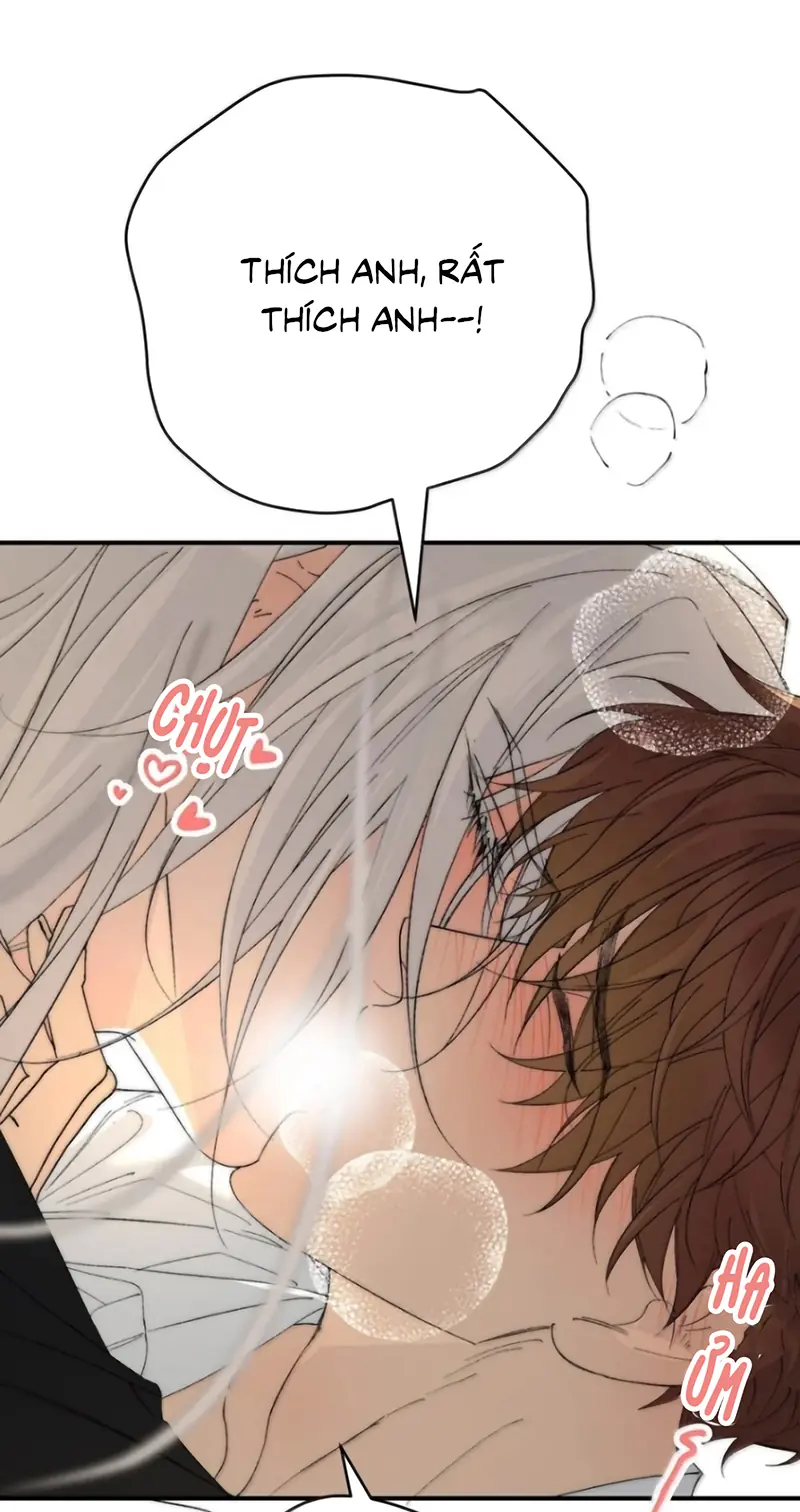Mỗi Ngày Đều Muốn Làm Bệnh Kiều Vương Tử Xấu hổ Muốn Độn Thổ Chapter 48 - Trang 13