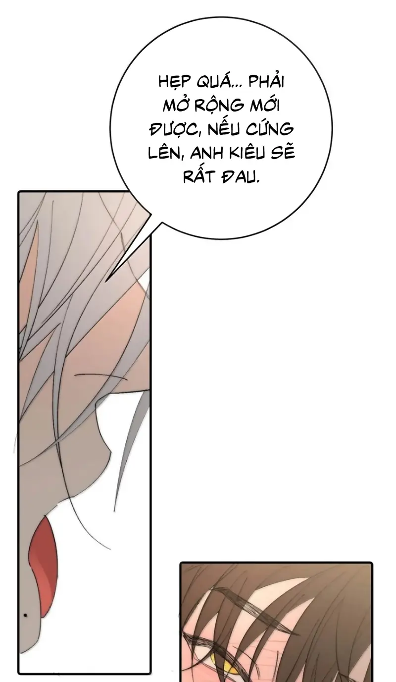 Mỗi Ngày Đều Muốn Làm Bệnh Kiều Vương Tử Xấu hổ Muốn Độn Thổ Chapter 48 - Trang 36