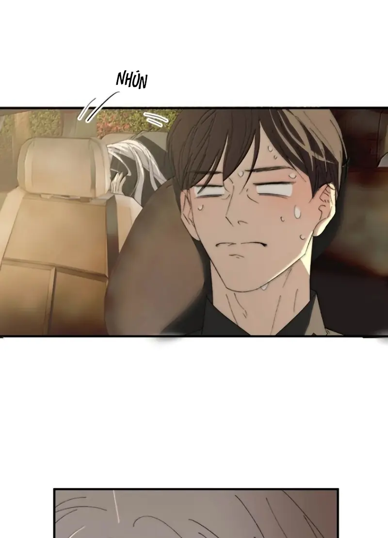 Mỗi Ngày Đều Muốn Làm Bệnh Kiều Vương Tử Xấu hổ Muốn Độn Thổ Chapter 48 - Trang 7
