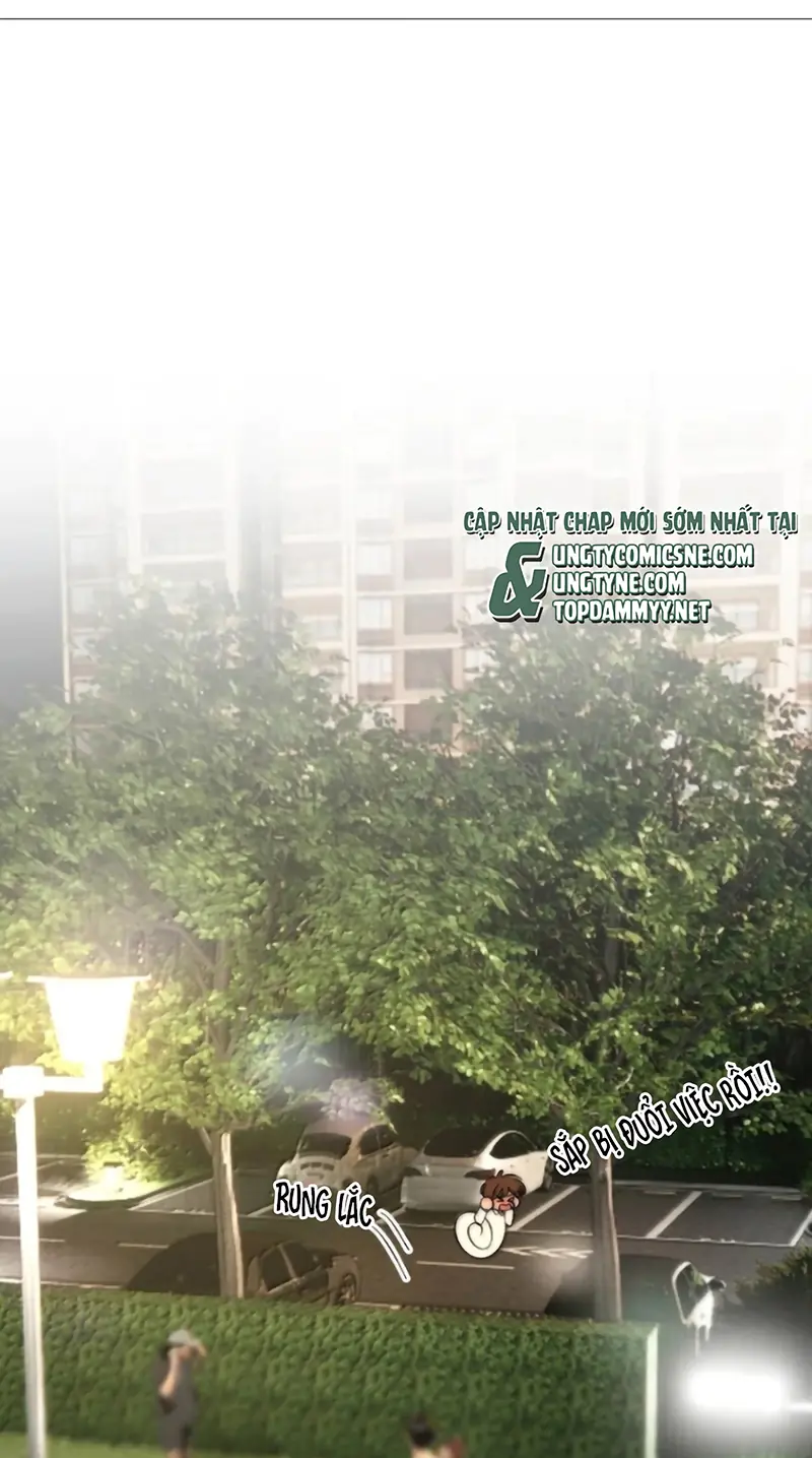 Mỗi Ngày Đều Muốn Làm Bệnh Kiều Vương Tử Xấu hổ Muốn Độn Thổ Chapter 48 - Trang 9