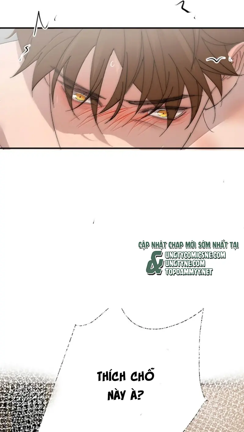 Mỗi Ngày Đều Muốn Làm Bệnh Kiều Vương Tử Xấu hổ Muốn Độn Thổ Chapter 49 - Trang 41