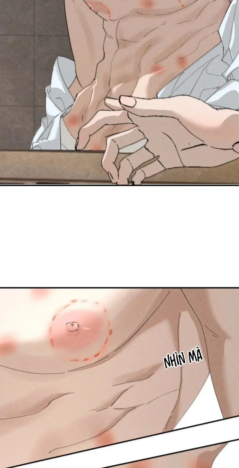 Mỗi Ngày Đều Muốn Làm Bệnh Kiều Vương Tử Xấu hổ Muốn Độn Thổ Chapter 51 - Trang 12