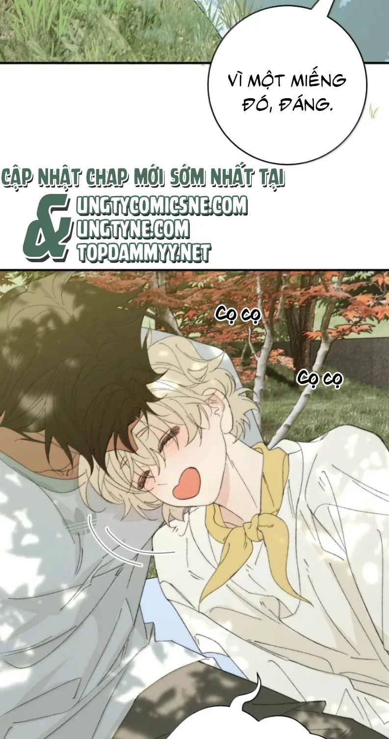 Mỗi Ngày Đều Muốn Làm Bệnh Kiều Vương Tử Xấu hổ Muốn Độn Thổ Chapter 52 - Trang 11