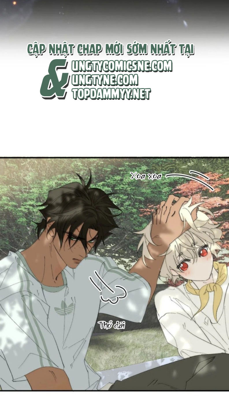Mỗi Ngày Đều Muốn Làm Bệnh Kiều Vương Tử Xấu hổ Muốn Độn Thổ Chapter 52 - Trang 15