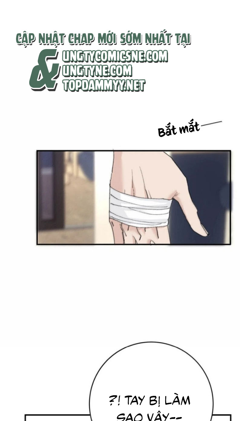Mỗi Ngày Đều Muốn Làm Bệnh Kiều Vương Tử Xấu hổ Muốn Độn Thổ Chapter 52 - Trang 20