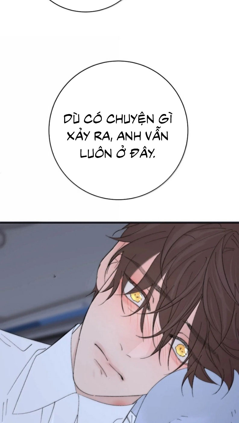 Mỗi Ngày Đều Muốn Làm Bệnh Kiều Vương Tử Xấu hổ Muốn Độn Thổ Chapter 52 - Trang 28