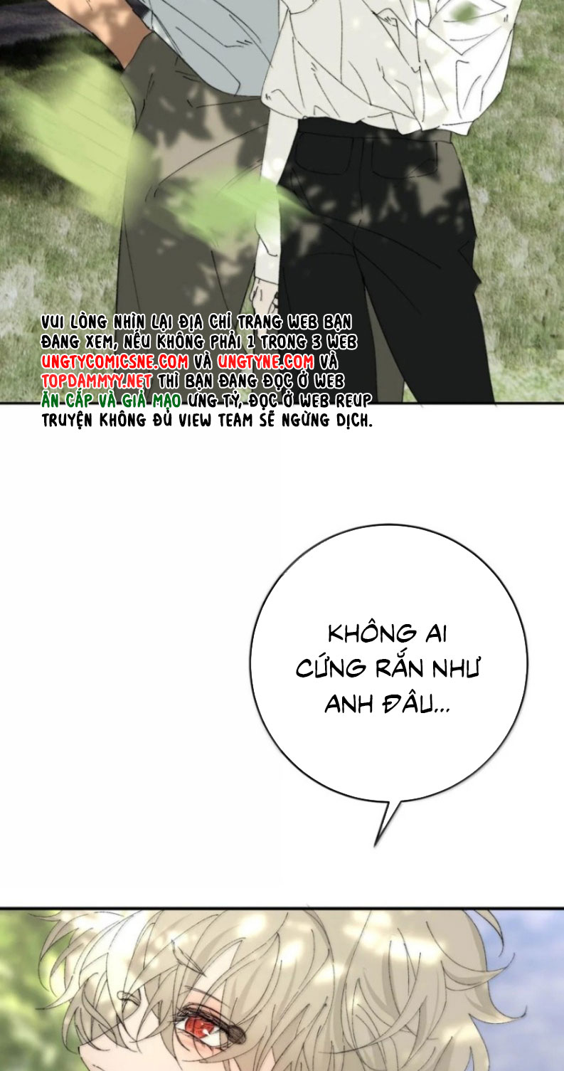 Mỗi Ngày Đều Muốn Làm Bệnh Kiều Vương Tử Xấu hổ Muốn Độn Thổ Chapter 52 - Trang 8
