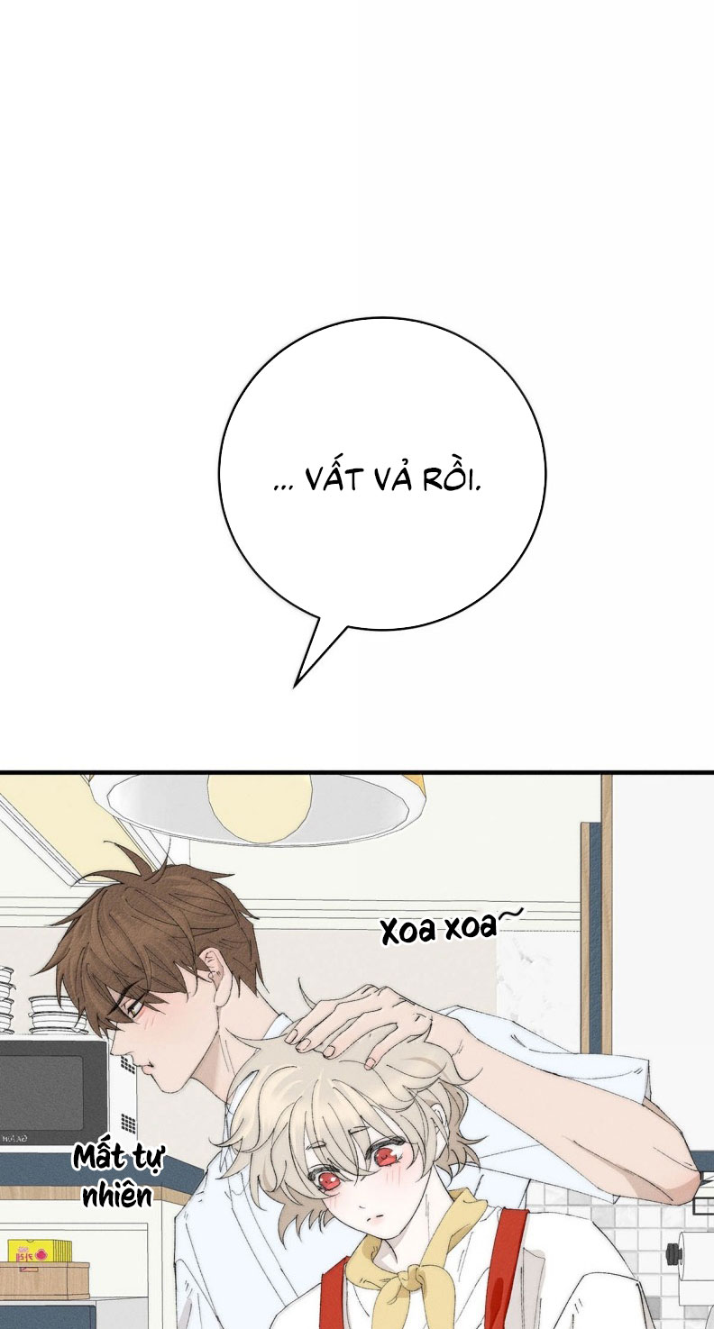 Mỗi Ngày Đều Muốn Làm Bệnh Kiều Vương Tử Xấu hổ Muốn Độn Thổ Chapter 53 - Trang 14