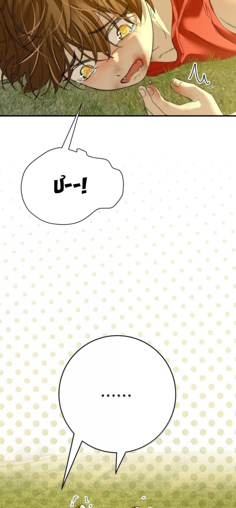 Mỗi Ngày Đều Muốn Làm Bệnh Kiều Vương Tử Xấu hổ Muốn Độn Thổ Chapter 61 - Trang 10