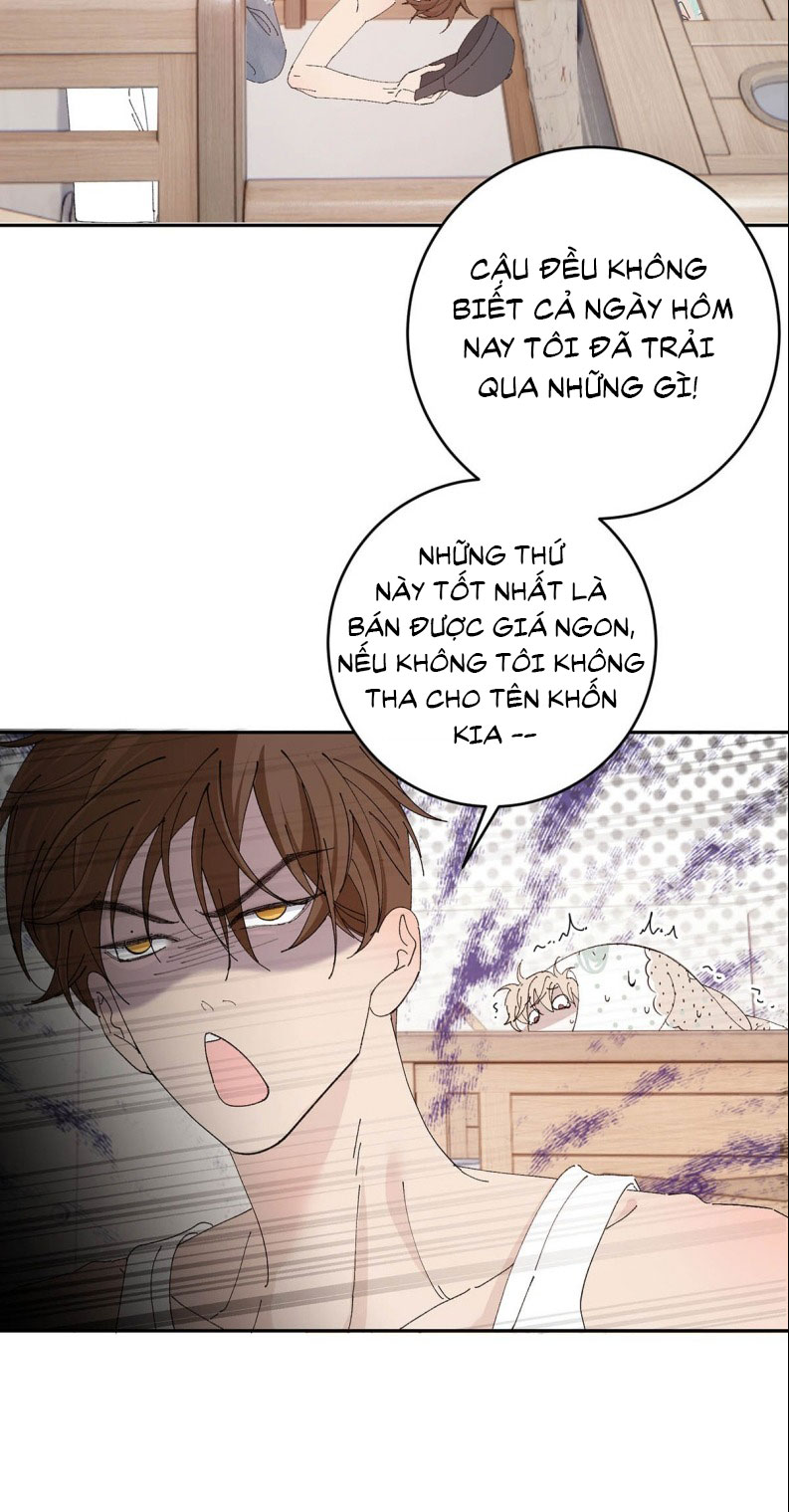 Mỗi Ngày Đều Muốn Làm Bệnh Kiều Vương Tử Xấu hổ Muốn Độn Thổ Chapter 7 - Trang 12