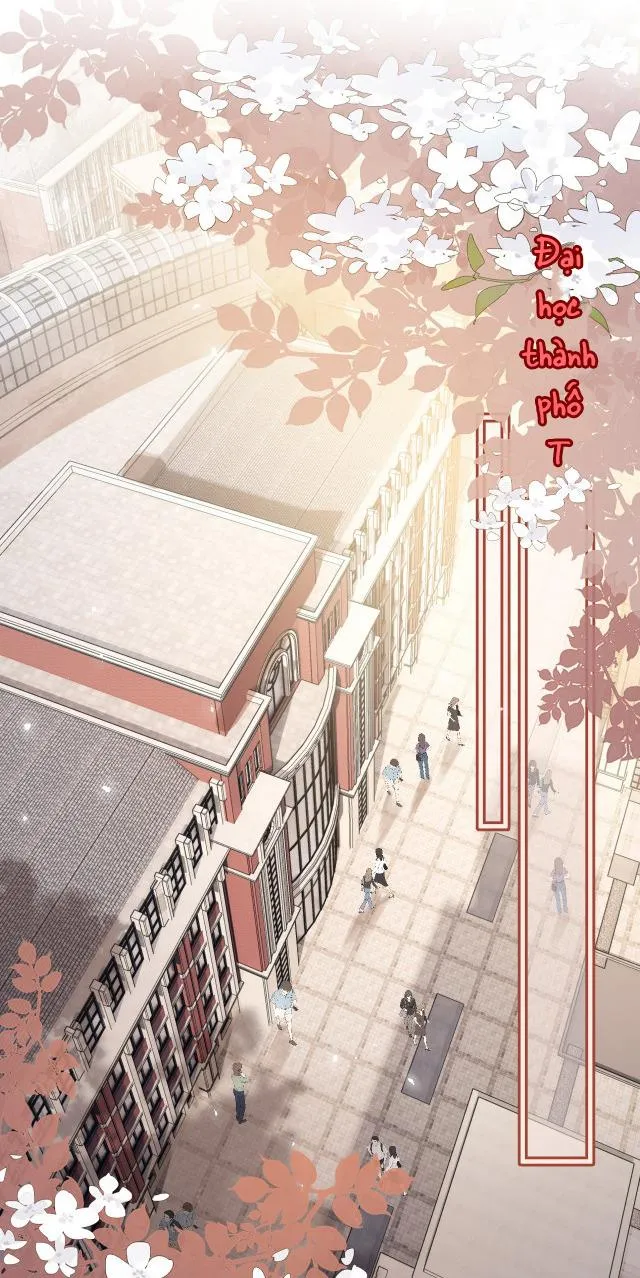 Mỗi ngày đều thích anh Chapter 4 - Trang 8