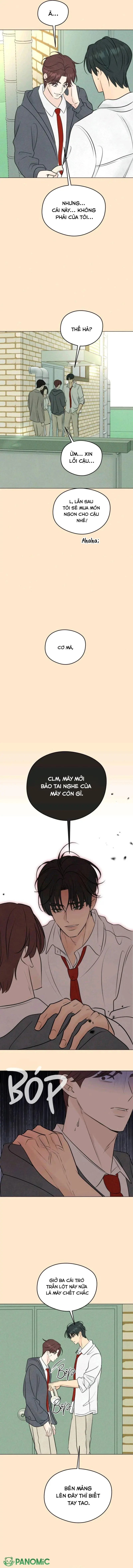 Mối Tình Đầu Của Kẻ Côn Đồ Chapter 15 - Trang 7