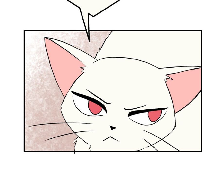 Morgana and Oz Chapter 15 - Trang 41