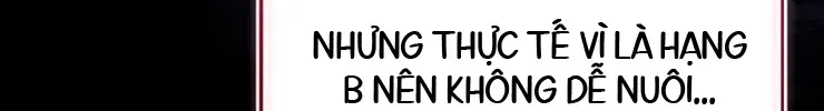 Một Mình Ta Sở Hữu Thú Triệu Hồi Cấp Ex Chapter 10 - Trang 36