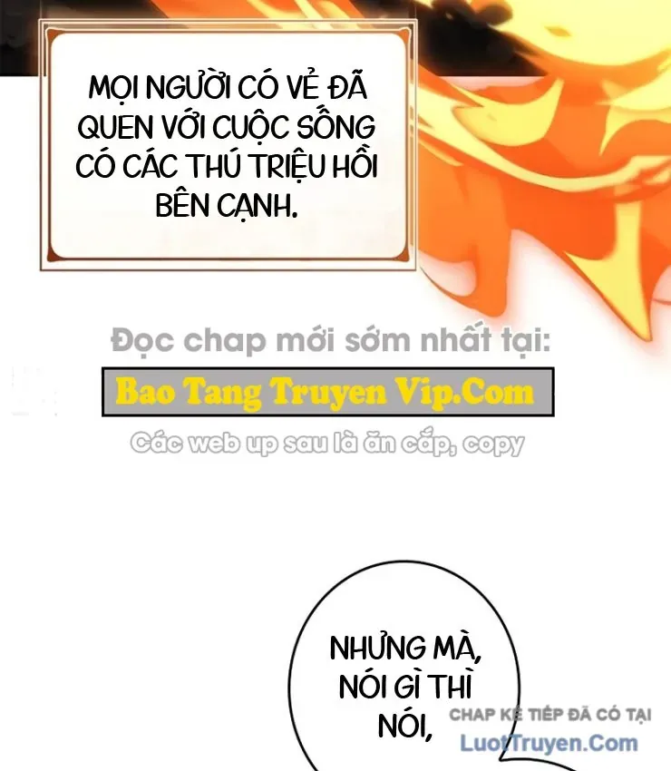 Một Mình Ta Sở Hữu Thú Triệu Hồi Cấp Ex Chapter 2 - Trang 11