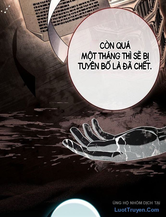 Một Mình Ta Sở Hữu Triệu Hồi Thú Cấp Ex Chapter 27 - Trang 11