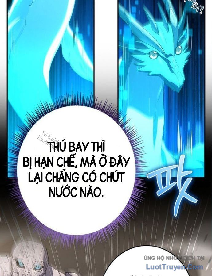 Một Mình Ta Sở Hữu Triệu Hồi Thú Cấp Ex Chapter 27 - Trang 45