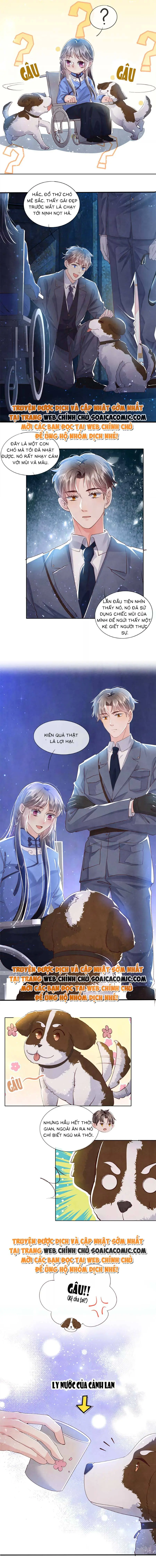 Mùa 2-Tôi Có Ông Chồng Hay Ghen Chapter 62 - Trang 6