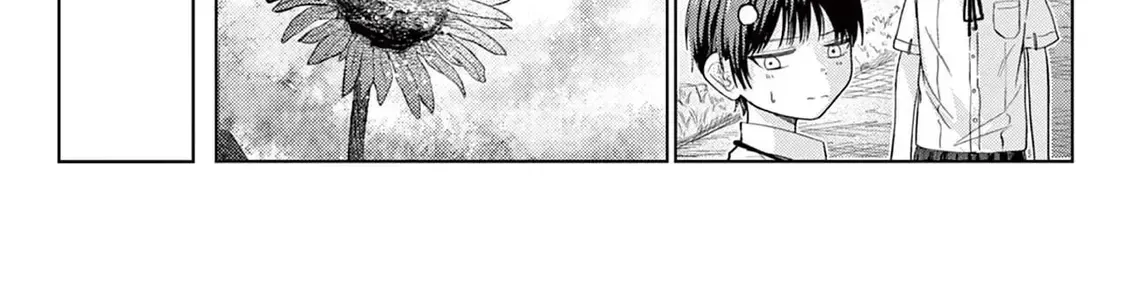Mùa Hạ Có Bức Hình Của Cậu Chapter 1 - Trang 33