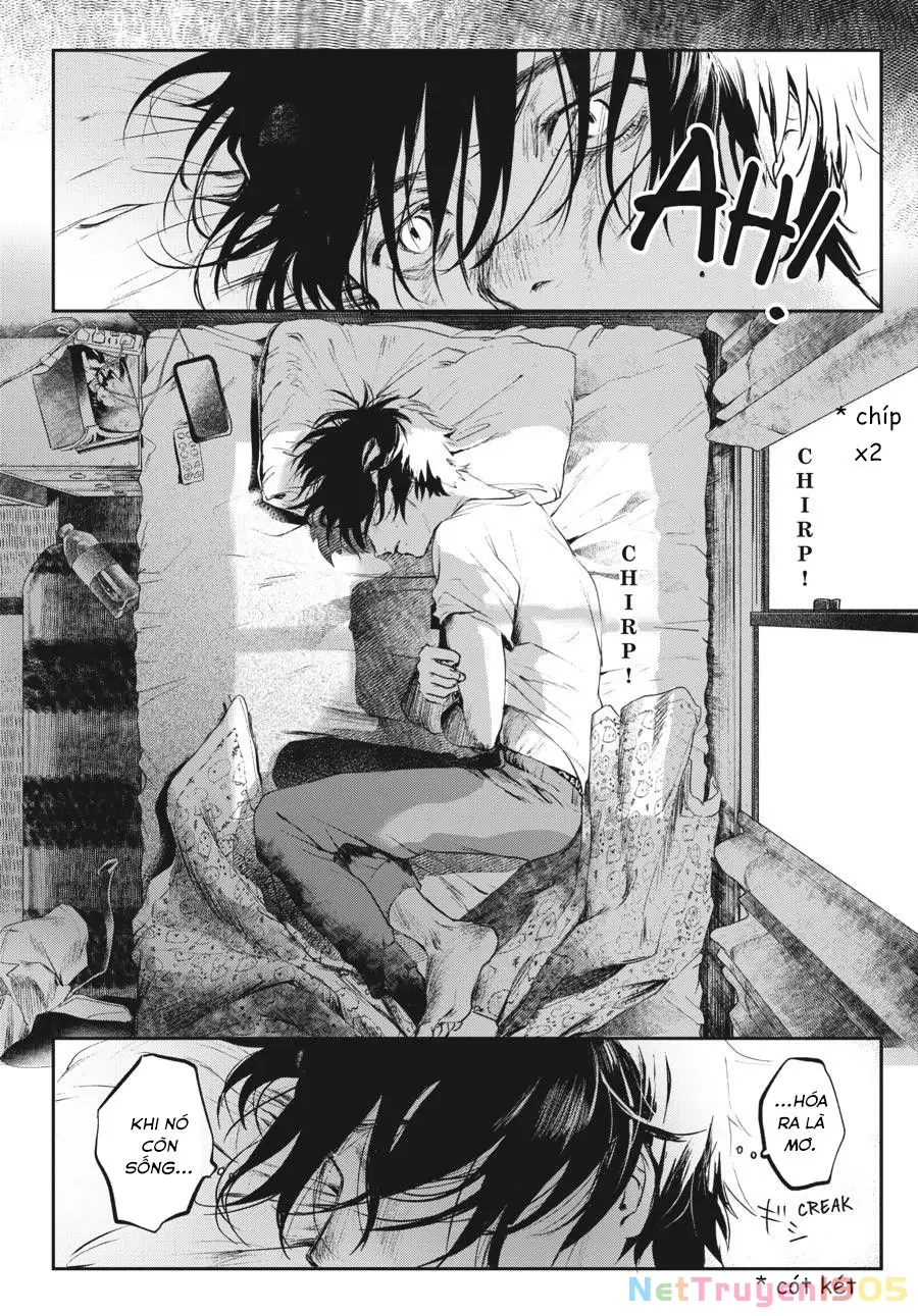 Mùa Hè Hikaru Chết Chapter 1 - Trang 19