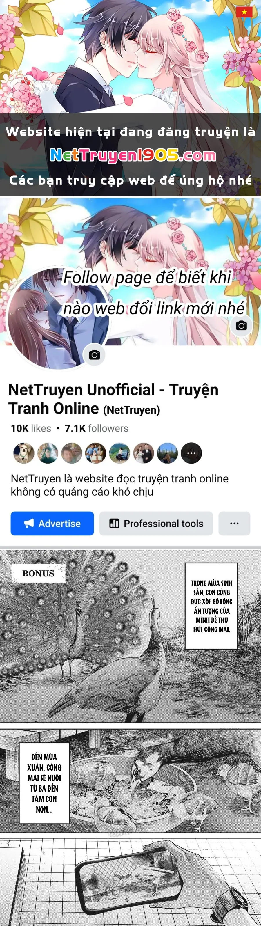 Mùa Hè Hikaru Chết Chapter 11.5 - Trang 2