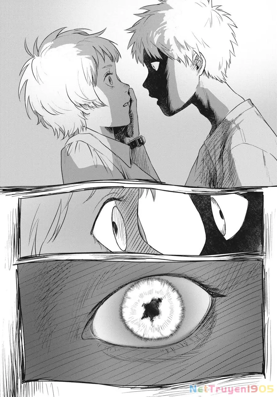 Mùa Hè Hikaru Chết Chapter 15 - Trang 16